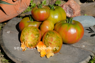 Томат Медная река (Copper River/Купер Ривер), 10 шт.