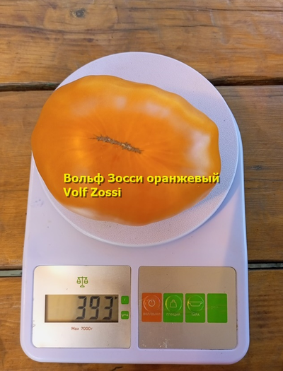 Томат Вольф Зосси оранжевый (Volf Zossi)