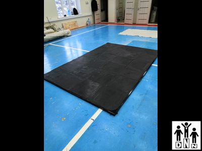 Помост для кроссфита 2000 х 3000 х 40 мм  (Помост амортизационный резиновый) DNN