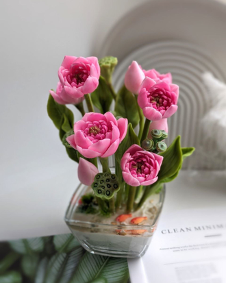 Коробочка лотоса