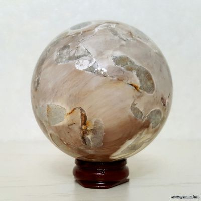 Окаменелое дерево со следами древоточца, шар. Россия. Около 69мм.