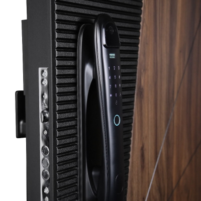 Стальная дверь   Берилл с зеркалом (биометрический замок DZ 888). Заказная модель.