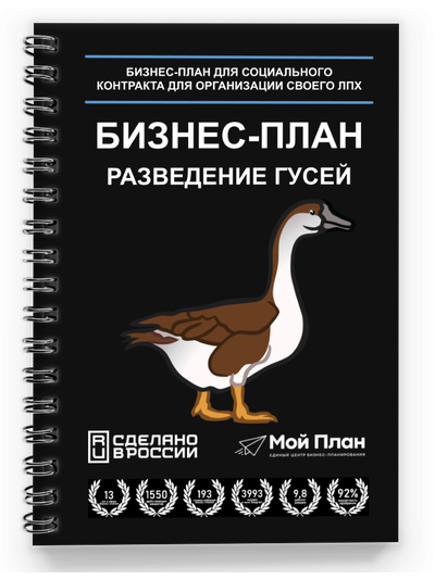 Выращивание клубники