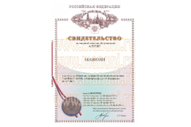 Свидетельство на товарный знак 537287