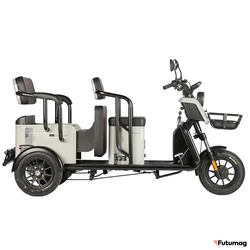 Электротрицикл Wanshida LC300 60V 1000Вт серый