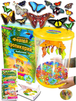 Ферма бабочек Тропикарий. Посмотри как рождаются тропические бабочки! Из куколки в бабочку чудесное