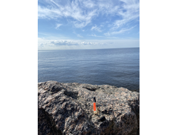 Духи НОТА: ЮНАЯ КОЖА, 5.5 мл