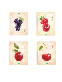 Тетрадь А5, 80 л., HATBER ECO, спираль, клетка, обложка картон, "Fruit Style" (4 вида), 80Т5C1сп