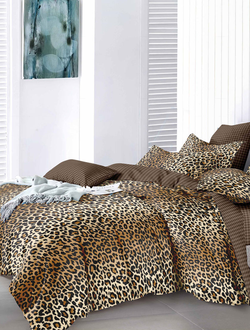 Постельное белье 2 спальное TANGO Dream Fly микросатин 180x210x1 220x245x1 50x70x2 DF02-505-50