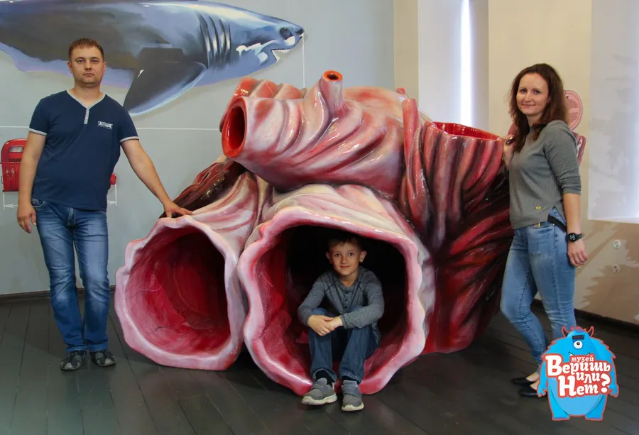 Большой муляж сердце кита. Экспонат из стеклопластика