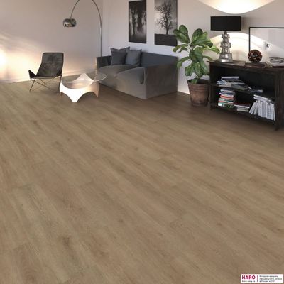 Ламинат Haro Tritty 100 Campus Дуб Венето Кремовый 541543 32 класс толщина 8 мм с фаской 1.98 м2