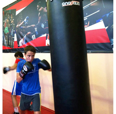 мешок для бокса кожаный Спортана