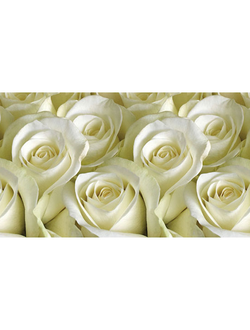 Фартук АБС Белые розы 3,0м*0,6м