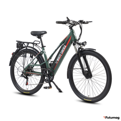 Электровелосипед WHITE SIBERIA CAMRY LIGHT 500W матовый зеленый