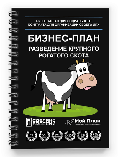 Бизнес-план для ЛПХ: Разведение крупного рогатого скота | Бесплатная доработка под шаблон Вашего региона за 3 дня
