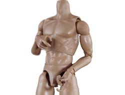 Телоид 1/6, тело 1/6, купить телоид, купить тело 1/6, фигурки 1/6, купить фигурки 1/6, масштаб 1/6