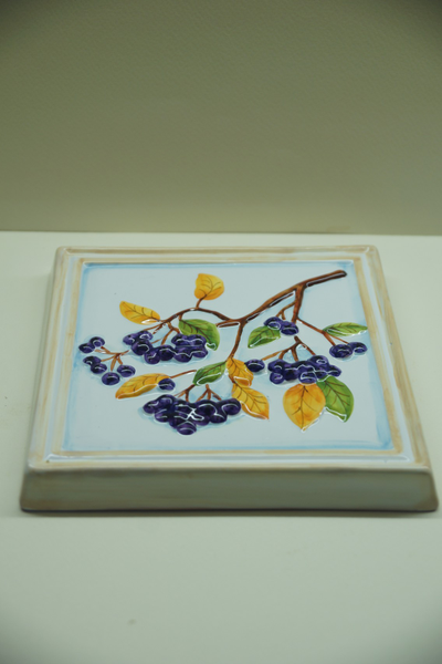 Черноплодная рябина