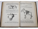 Цюрн Ф. Учение об упряжи. СПб.: Тип. Министерства Внутренних Дел, 1904.