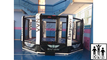 октагон ринг