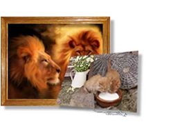 obogrevatel-kartina-s-foto-zhivotnyh