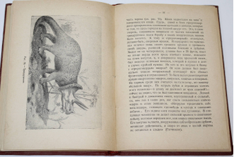 Лункевич В. Подземный мир. Л.: `Начатки знаний`, 1928.