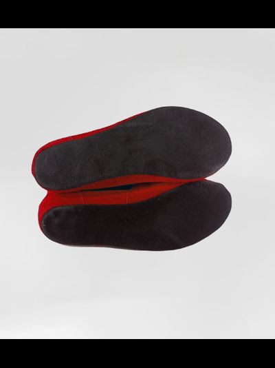 Борцовки для самбо ВФС BRAVEGARD Ascend на липучке красно-синие