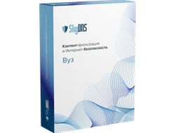 SkyDNS.ВУЗ, 1 год, 100 ПК