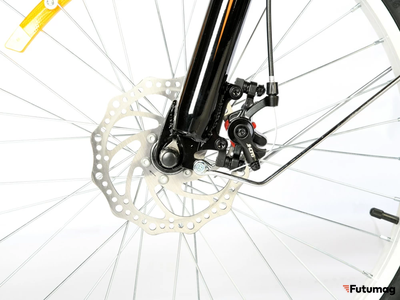 Электровелосипед трицикл РВЗ Чемпион (RVZ-HZ-01) черный