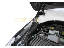 Амортизаторы капота, 2 шт. АвтоУпор для Chevrolet Trailblazer II 2012-2016