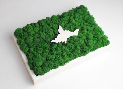 ЖИВАЯ ЭКО-КАРТИНА 1032