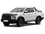 JAC T9 I 2020>