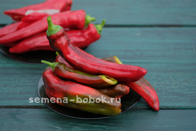 Перец сладкий Слоновий Хобот, 10 шт