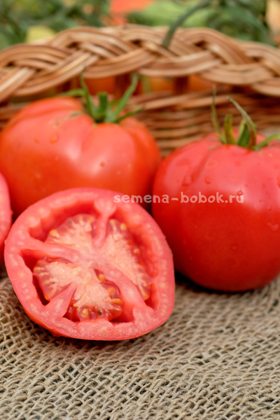 Томат Минусинский Кистевой, 10 шт