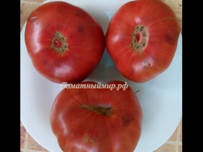 Томат Черный как уголь (Noire Charbonneuse, Канада)