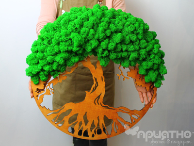 ЖИВАЯ ЭКО-КАРТИНА 1022