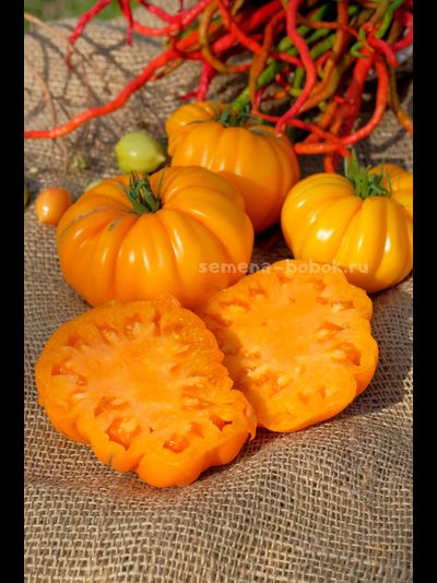 Томат Oro Giant (ОРО Гигант), 10 шт