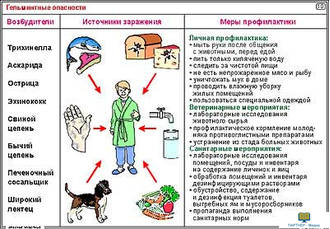 Опасные животные  (15 шт), комплект кодотранспарантов (фолий, прозрачных пленок, начальная школа