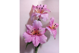 Альстромерия из фоамирана. Работа Елены Жуковой. Использован молд "Лепестки альстромерии"