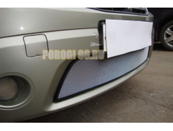 Защита радиатора Renault Sandero 2010-2014 chrome