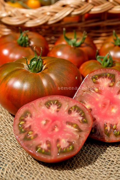 Томат Ярсон 16 (Jarson 16), 10 шт