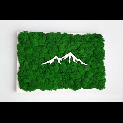 ЖИВАЯ ЭКО-КАРТИНА 1037