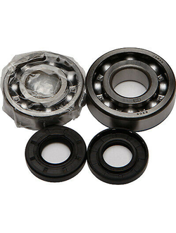 Комплект Подшипников Коленвала Для Мотоцикла Kawasaki Kx125 Allballs 24-1007