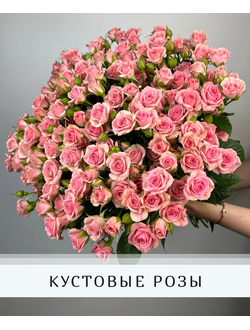 КУСТОВАЯ РОЗА