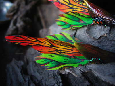 "Крылышки Саламандровой феи", длинные серьги из шёлка