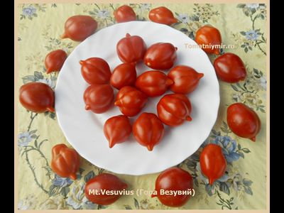 Томат Гора Везувий (Mt.Vesuvius, Mountain Vesuvius)