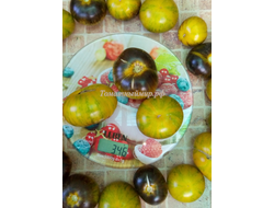 Томат Зеленая богиня Ксанаду (Xanadu Green Goddess), США