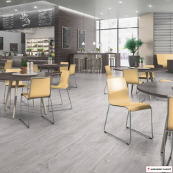 Пробковые полы Egger Дуб Уолтем Белый EPC002 в интерьере офиса