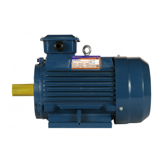 Электродвигатель 5АИ 100L2 (5,5 кВт)