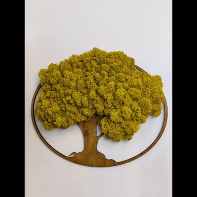 ЖИВАЯ ЭКО-КАРТИНА 1008