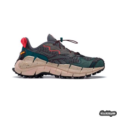 REEBOK ZIG KINETICA 2 EDGE GORE-TEX INFINIUM (40-45)